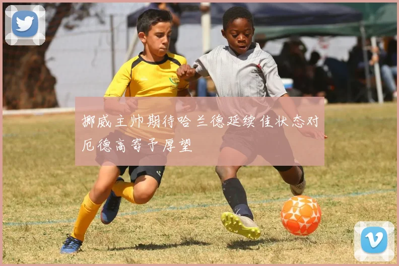 挪威主帅期待哈兰德延续佳状态对厄德高寄予厚望
