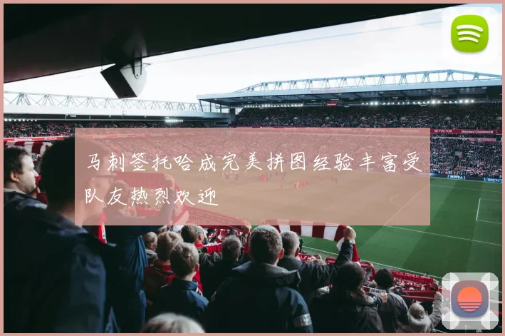 马刺签托哈成完美拼图经验丰富受队友热烈欢迎