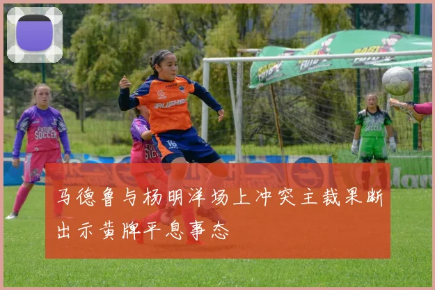 马德鲁与杨明洋场上冲突主裁果断出示黄牌平息事态