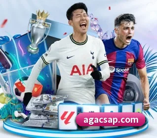 五大服务分区,信息按项目分类 | AOASPORTS